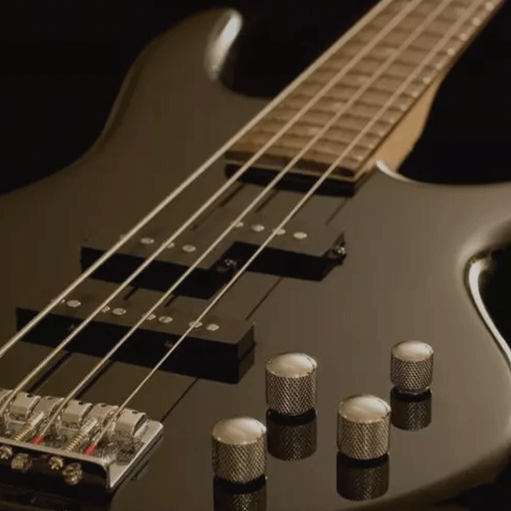 bass.png